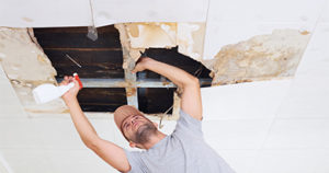 This is a picture of Mold Remediation Specialists performing excellent mold removal services in Palm City